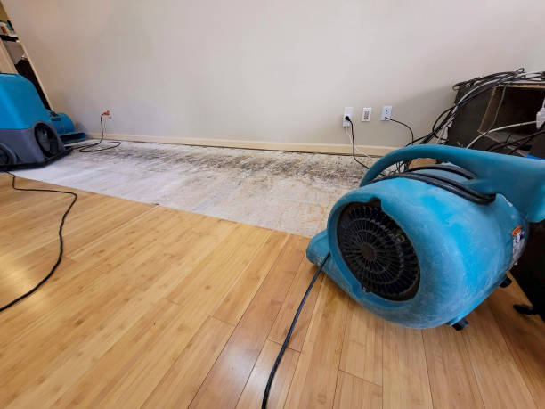Professional Flood Damage Cleanup technician working in Houck, AZ